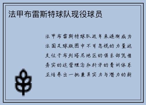 法甲布雷斯特球队现役球员